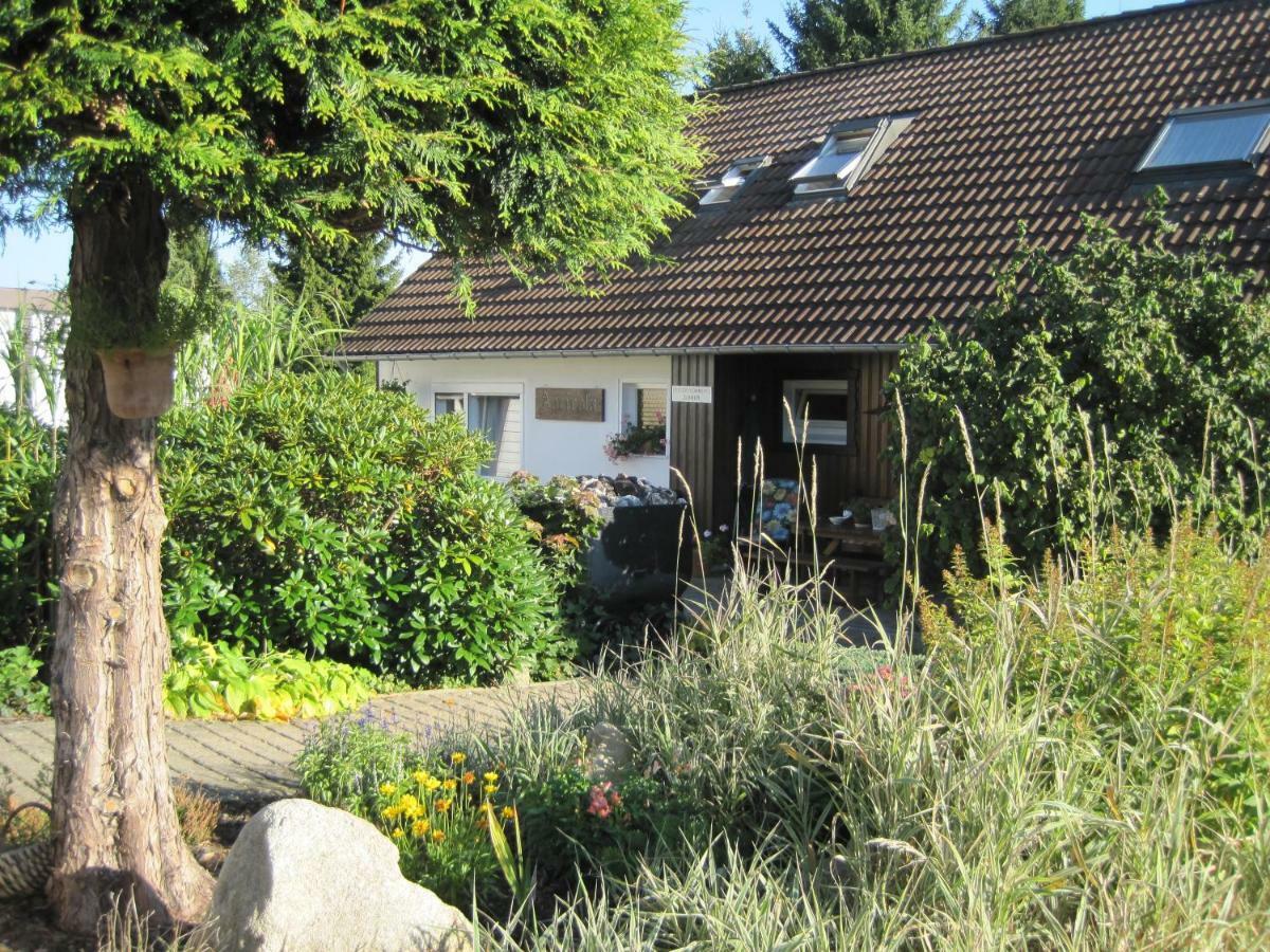 Haus Agricola - Ferienwohnungen Altenau  Exterior photo